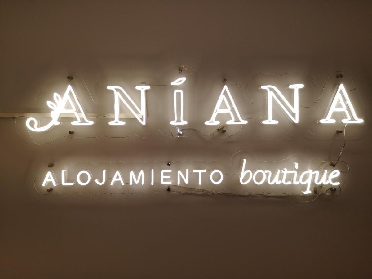 Aniana Alojamiento Boutique Логроньо Экстерьер фото